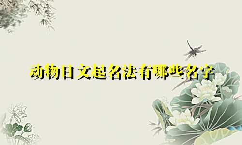 动物日文起名法有哪些名字