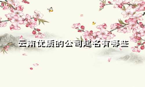 云南优质的公司起名有哪些