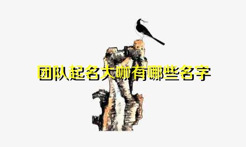 团队起名大咖有哪些名字