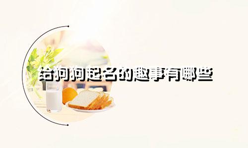 给狗狗起名的趣事有哪些
