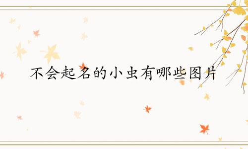 不会起名的小虫有哪些图片