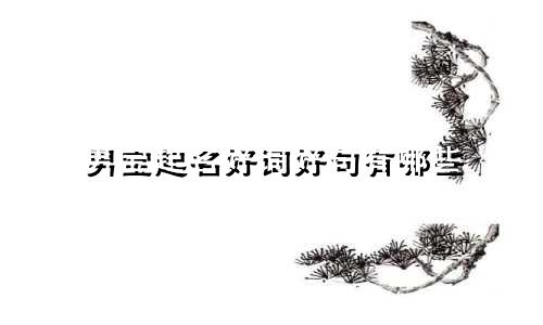男宝起名好词好句有哪些