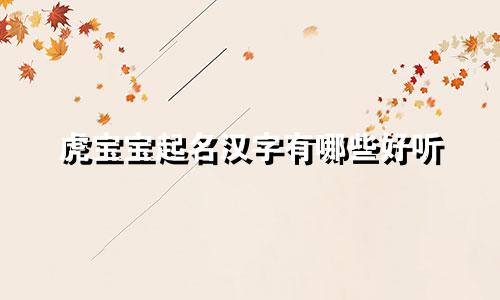 虎宝宝起名汉字有哪些好听