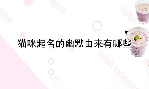 猫咪起名的幽默由来有哪些