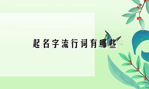 起名字流行词有哪些