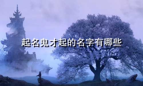起名鬼才起的名字有哪些