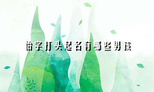 怡字打头起名有哪些男孩