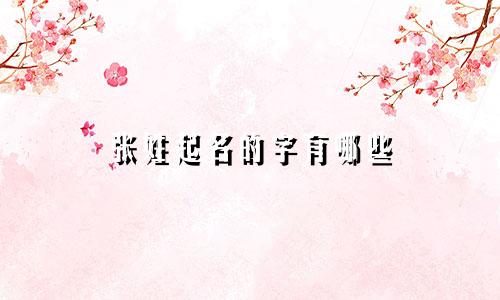 张姓起名的字有哪些