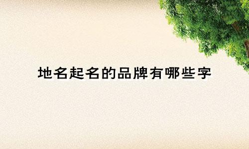 地名起名的品牌有哪些字