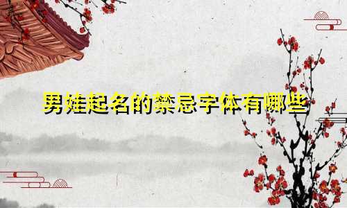 男娃起名的禁忌字体有哪些
