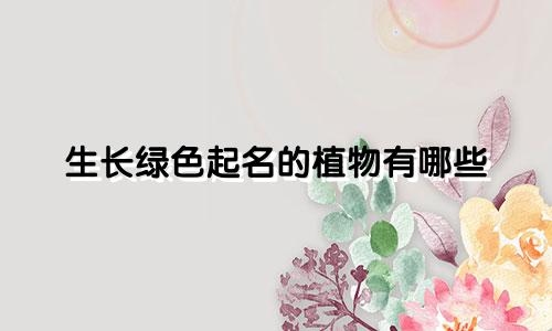 生长绿色起名的植物有哪些