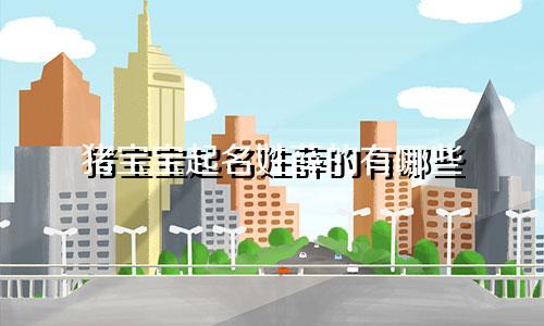 猪宝宝起名姓薛的有哪些