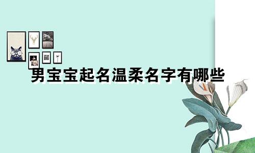 男宝宝起名温柔名字有哪些