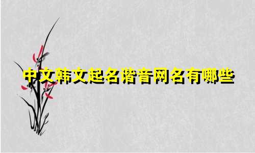 中文韩文起名谐音网名有哪些