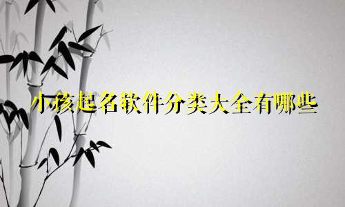 小孩起名软件分类大全有哪些