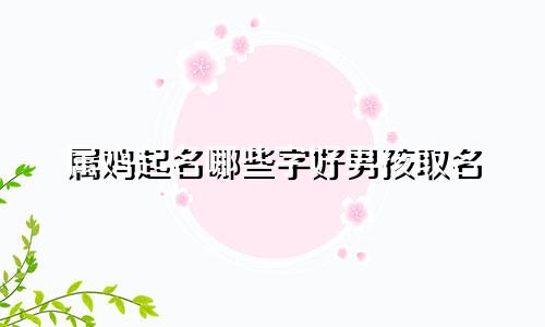 属鸡起名哪些字好男孩取名