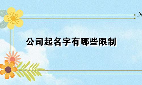 公司起名字有哪些限制