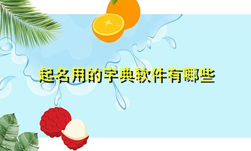 起名用的字典软件有哪些