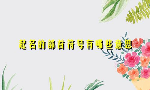 起名的部首符号有哪些意思