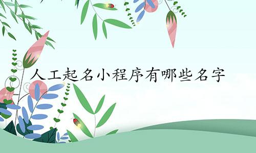人工起名小程序有哪些名字