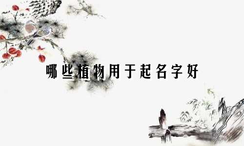 哪些植物用于起名字好