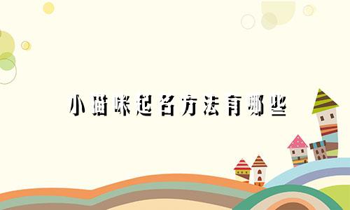 小猫咪起名方法有哪些