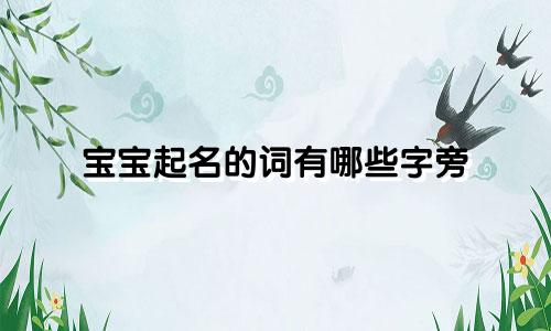 宝宝起名的词有哪些字旁