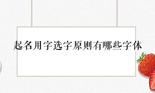 起名用字选字原则有哪些字体