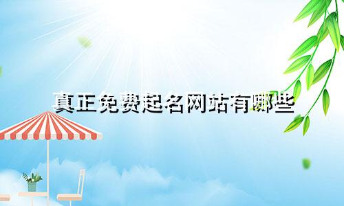 真正免费起名网站有哪些