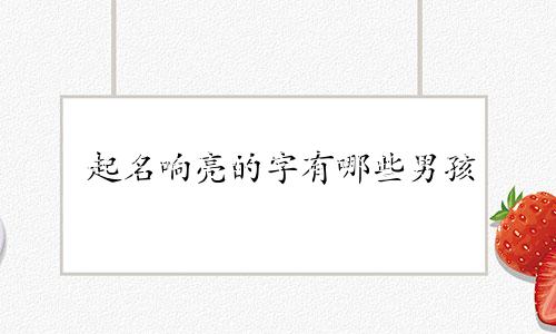 起名响亮的字有哪些男孩