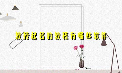 教授起名的教程有哪些软件