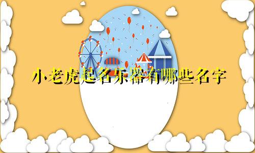小老虎起名乐器有哪些名字