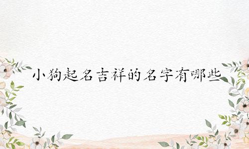 小狗起名吉祥的名字有哪些