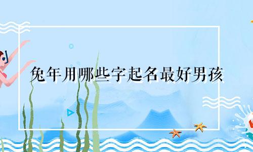 兔年用哪些字起名最好男孩