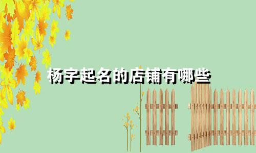 杨字起名的店铺有哪些