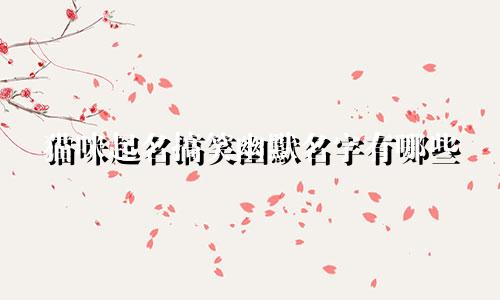 猫咪起名搞笑幽默名字有哪些