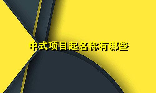 中式项目起名称有哪些