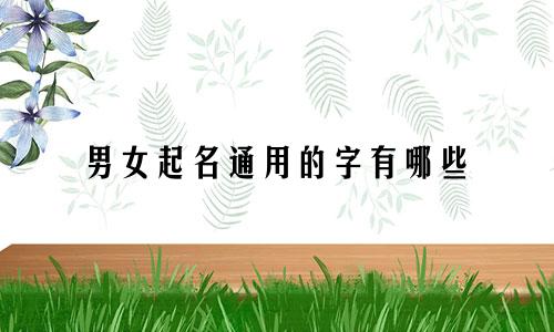 男女起名通用的字有哪些