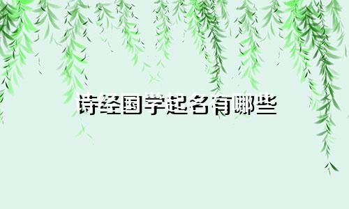 诗经国学起名有哪些