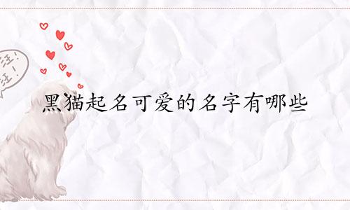 黑猫起名可爱的名字有哪些