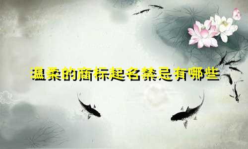 温柔的商标起名禁忌有哪些