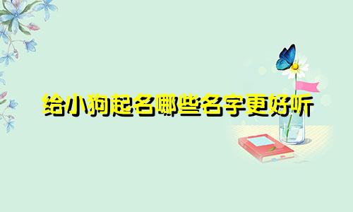 给小狗起名哪些名字更好听