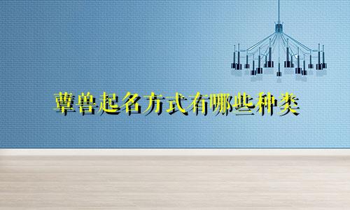 蕈兽起名方式有哪些种类