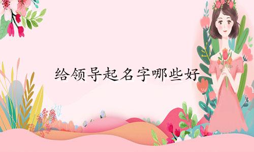 给领导起名字哪些好