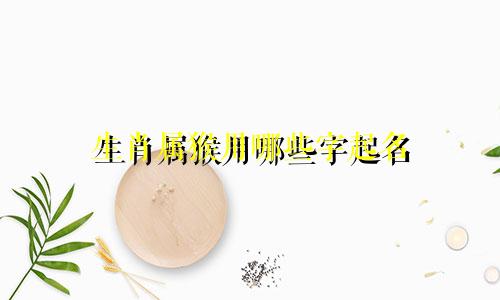 生肖属猴用哪些字起名