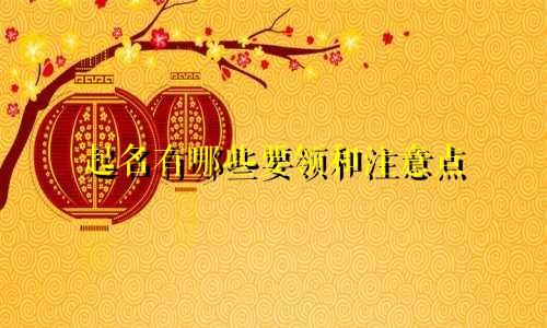 起名有哪些要领和注意点
