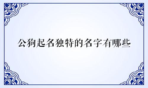 公狗起名独特的名字有哪些