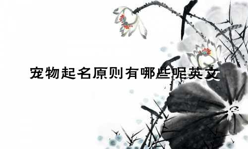 宠物起名原则有哪些呢英文