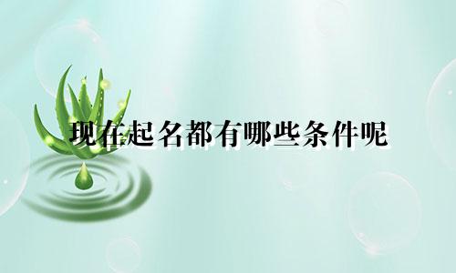 现在起名都有哪些条件呢