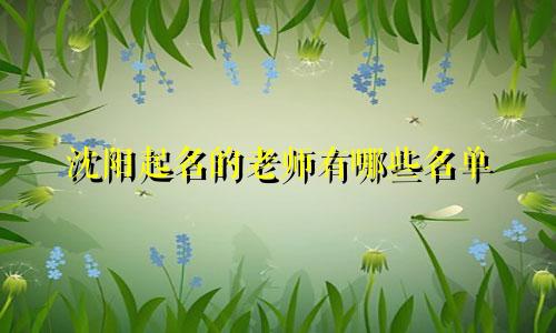 沈阳起名的老师有哪些名单